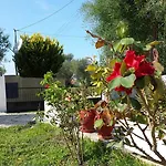 εύα