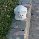 εύα Διαμέρισμα