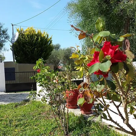 εύα