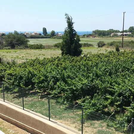 Lägenhet Eva Svoronata